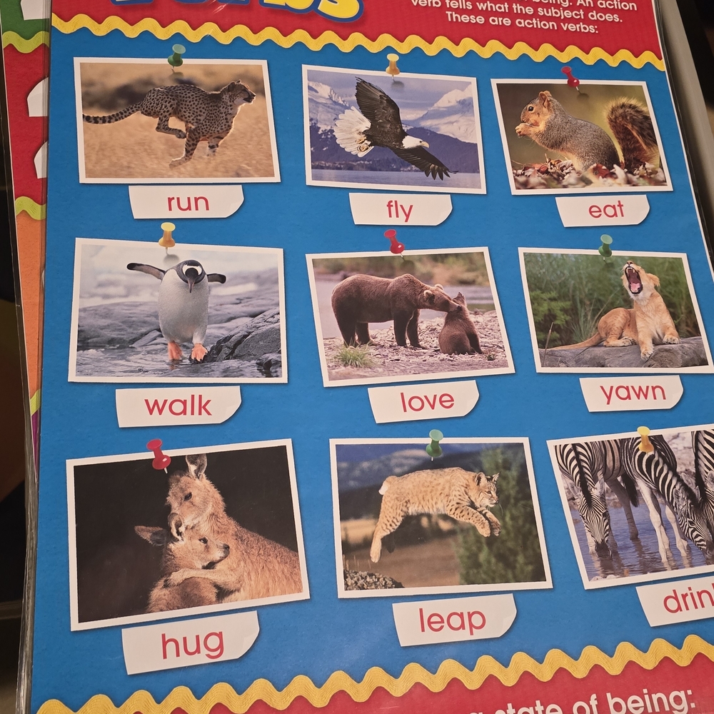 Educational Kids Poster Set - Picture 6 of 16